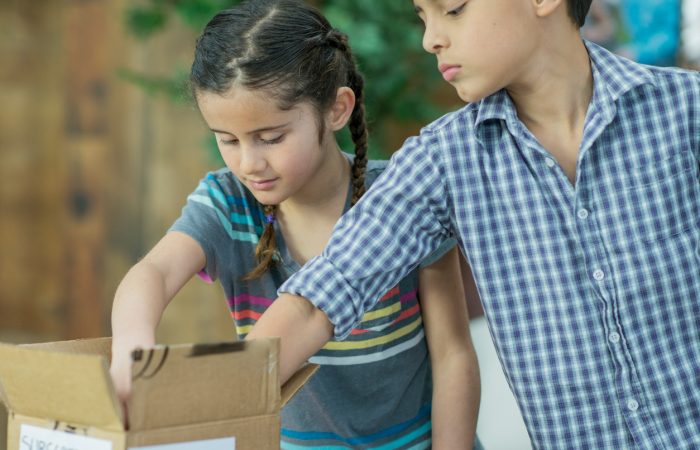 Subscription Boxes Based in Alberta - SavvyMom