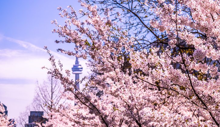 Things to Do in April in Toronto with Kids - SavvyMom