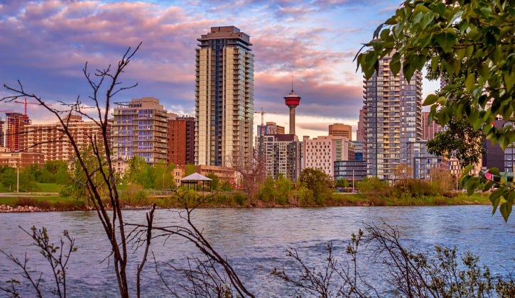 Things to do in Calgary in April with Kids - SavvyMom