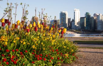 Things to do in Vancouver in April with Kids - SavvyMom