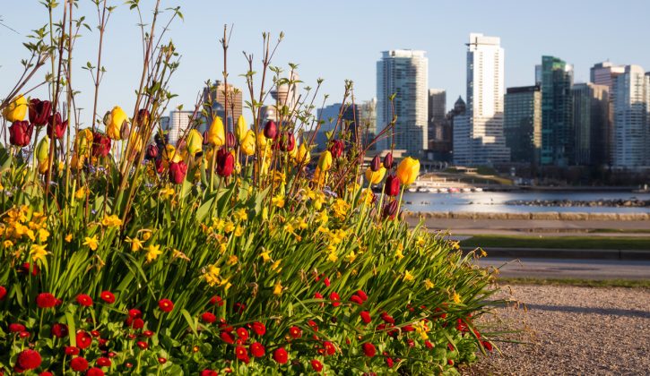 Things to do in Vancouver in April with Kids - SavvyMom