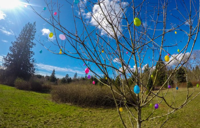 Ottawa Easter Weekend Activities and Events - SavvyMom