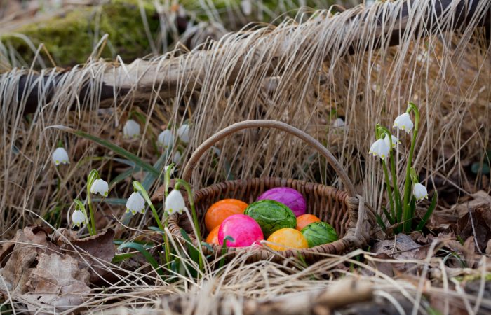 Easter in Calgary - SavvyMom