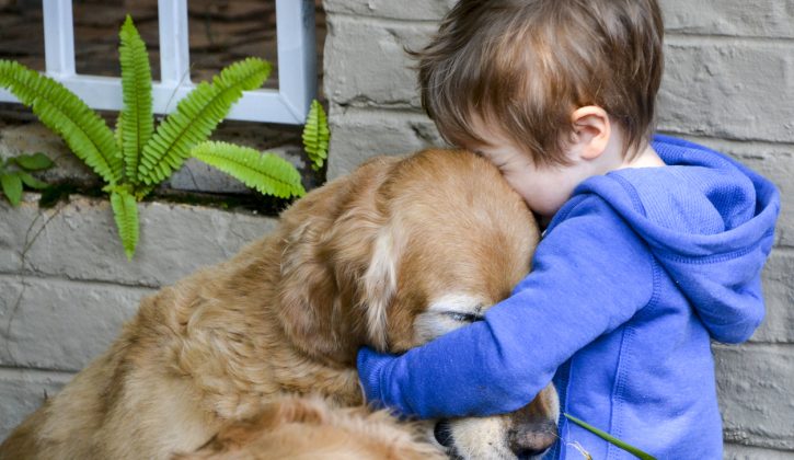 How to Help Kids Deal with the Death of a Pet - SavvyMom