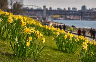 Fun Things to Do in Vancouver in May - SavvyMom
