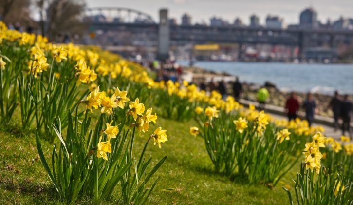 Fun Things to Do in Vancouver in May - SavvyMom