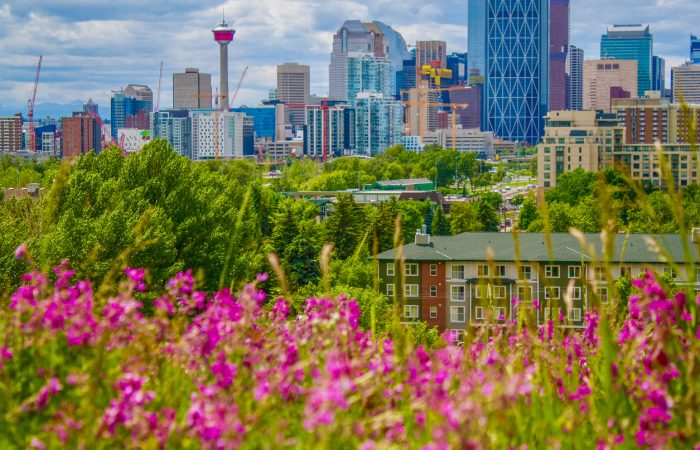 The Savvy Guide to Calgary in May - SavvyMom