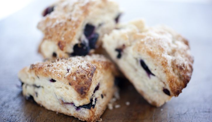 Lemon and Blueberry Scones Recipe - SavvyMom