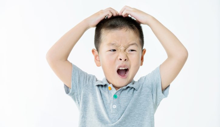 What to Do About Lice - SavvyMom