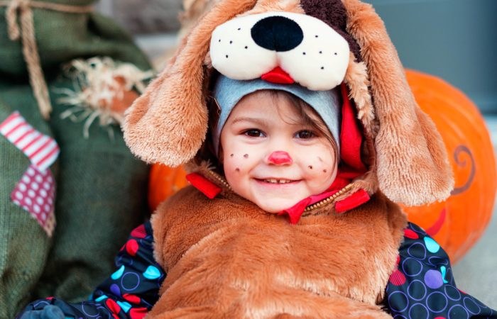 Fun Halloween in Calgary - SavvyMom
