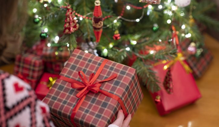 Holiday Gifts Under $50 - SavvyMom
