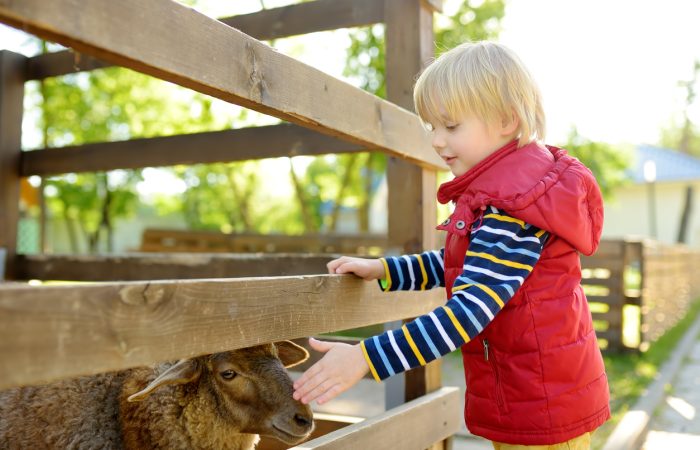 Fun Farms & Petting Zoos in Toronto - SavvyMom