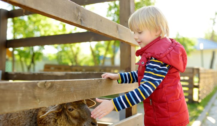 Fun Farms & Petting Zoos in Toronto - SavvyMom