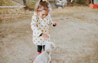 Fun Farms & Petting Zoos in Ottawa - SavvyMom