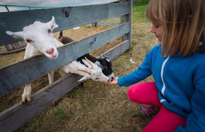Fun Farms & Petting Zoos in Vancouver - SavvyMom