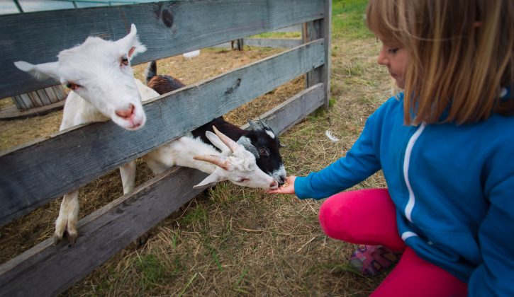 Fun Farms & Petting Zoos in Vancouver - SavvyMom