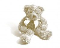 Teddy872