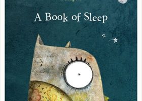 A Book of Sleep by Il Sung Na