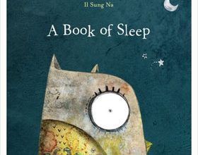 A Book of Sleep by Il Sung Na