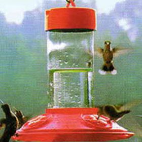 Hummingbird Feeders