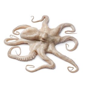 Octopus Mom