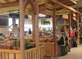 7 Fresh Food Solutions in Calgary