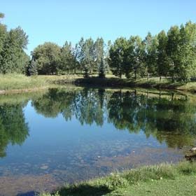 Carburn Park