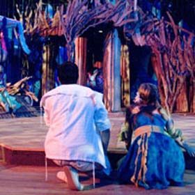 Shakespeare in High Park