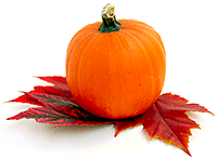 pumpkinshot