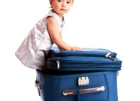 Baby Travel Gear