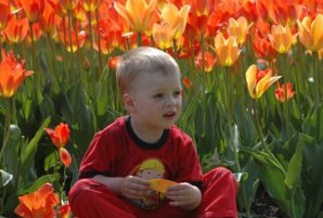 What to Do at Ottawa's Canadian Tulip Festival