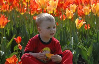 What to Do at Ottawa's Canadian Tulip Festival
