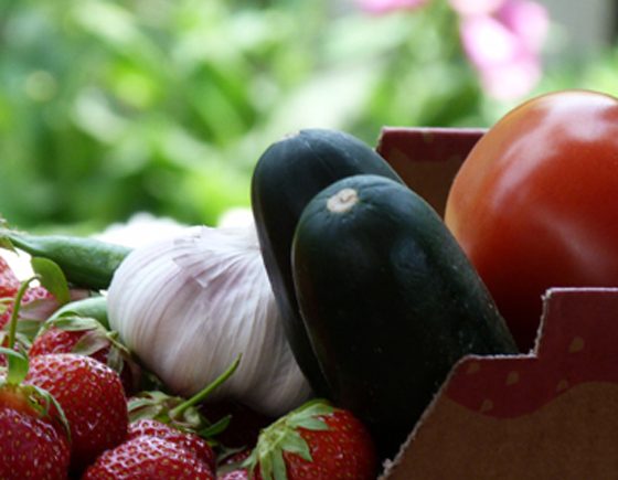 TBG Organic Farmers Market