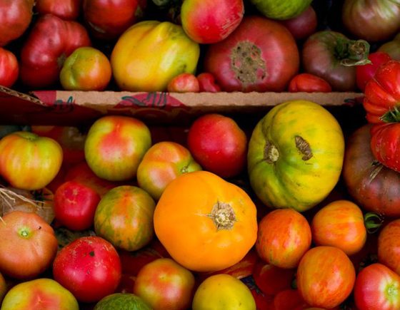 The Stop's Farmers' Market