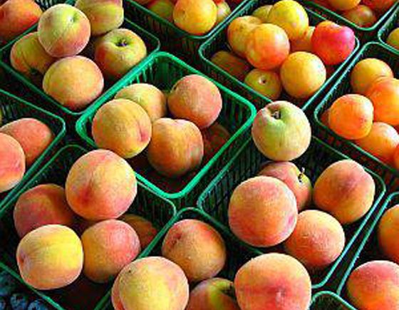 Withrow Park Farmers' Market