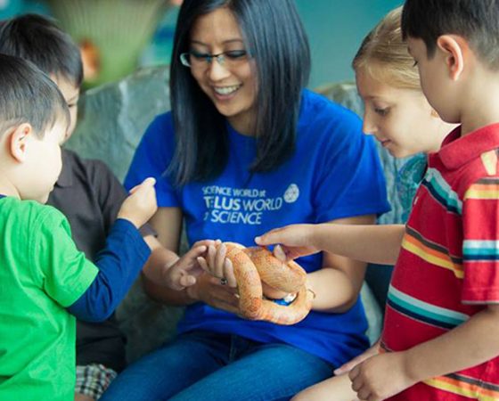 6 Must-Visit Places for Families in Vancouver