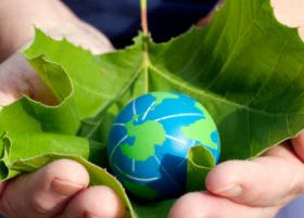 8 Tips to Help Green the Earth