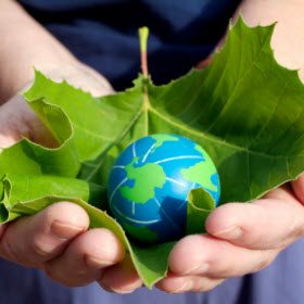8 Tips to Help Green the Earth