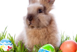 Easter Events for Everyone