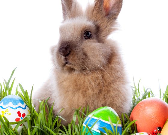 Easter Events for Everyone