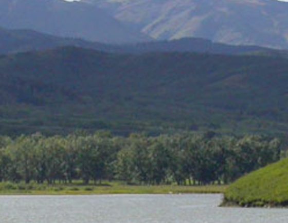 Chain Lakes Provincial Park