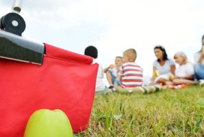 10 Places to Picnic in Calgary