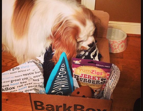 Bark Box