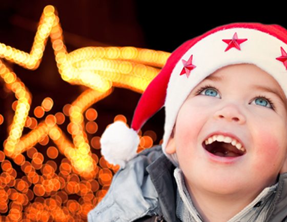 6 Holiday Light Displays in Calgary