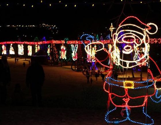 Lions Festival of Lights