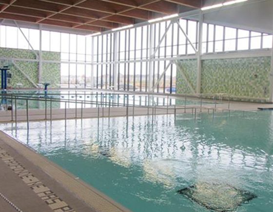 Go for a Swim