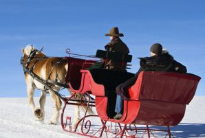 7 Sleigh Rides in Ottawa