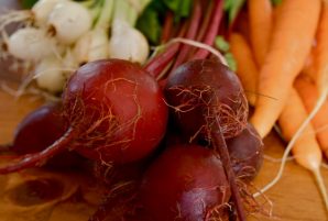 10 CSA Signups in Ottawa