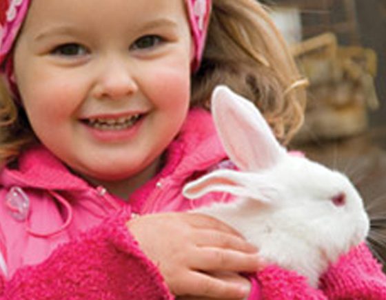 Pingle's Easter Weekend Activities