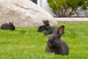 8 Ways to Do Easter Weekend in Ottawa